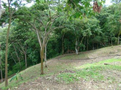 Quepos Aguirre, Puntarenas 00001, קוסטה ריקה