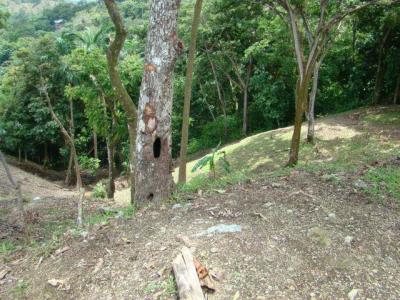 Quepos Aguirre, Puntarenas 00001, קוסטה ריקה