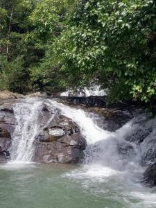 Barú Pérez Zeledón, San José 00001, Costa Rica