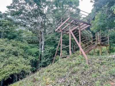 Quepos Aguirre, Puntarenas 00001, קוסטה ריקה