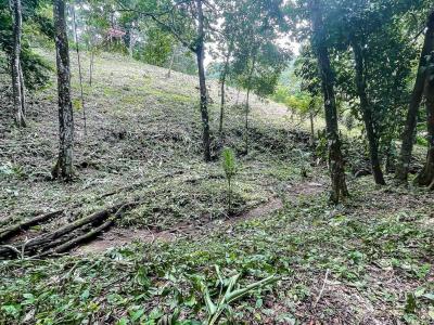 Quepos Aguirre, Puntarenas 00001, קוסטה ריקה