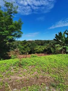 Quepos Aguirre, Puntarenas 00001, קוסטה ריקה