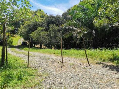 Quepos Aguirre, Puntarenas 00001, קוסטה ריקה