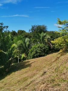 Quepos Aguirre, Puntarenas 00001, קוסטה ריקה