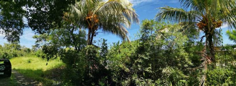 Quepos Aguirre, Puntarenas 00001, קוסטה ריקה