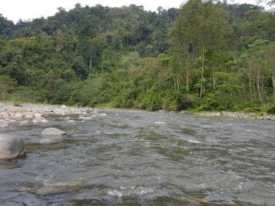 Quepos Aguirre, Puntarenas 60601, Costa Rica