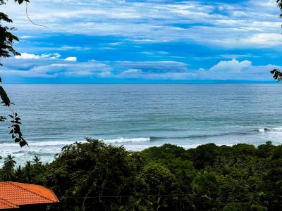 Dominical Aguirre, بونتاريناس 00001, كوستاريكا 