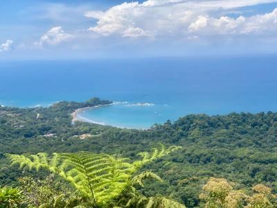 Dominical Bahía Ballena Osa, プンタレナス 00001, コスタリカ