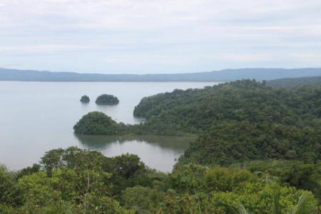 Mogos Sierpe Osa, Puntarenas 00001, Costa Rica