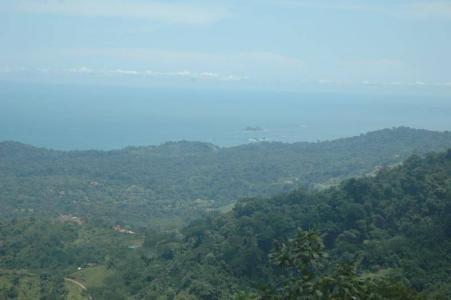 Punta Mala Puerto Cortés Osa, Puntarenas 00001, Costa Rica