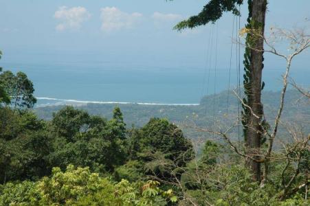 Punta Mala Puerto Cortés Osa, Puntarenas 00001, 코스타리카