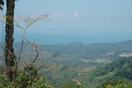 Punta Mala Puerto Cortés Osa, Puntarenas 00001, 코스타리카