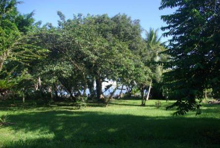 Puerto Jiménez Puerto Jiménez Golfito, Puntarenas 00001, Kostaryka