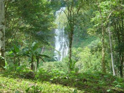 Barú Pérez Zeledón, San José 00001, Costa Rica