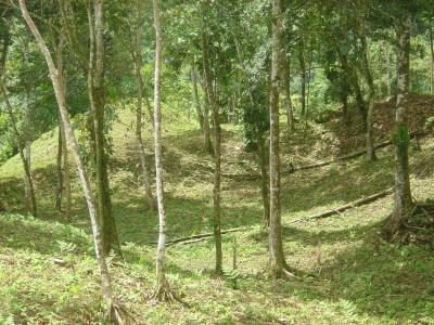 Barú Pérez Zeledón, San José 00001, Costa Rica