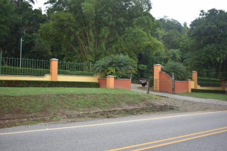 Golfito Osa, Puntarenas 00001, Costa Rica