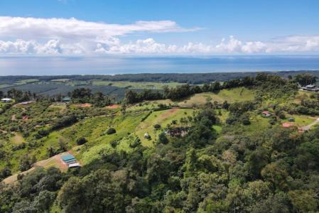 Dominical Osa, Puntarenas 00001, Costa Rica