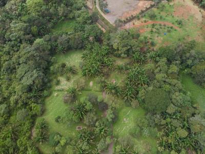 Manuel Antonio Quepos Aguirre, Puntarenas 00001, Costa Rica