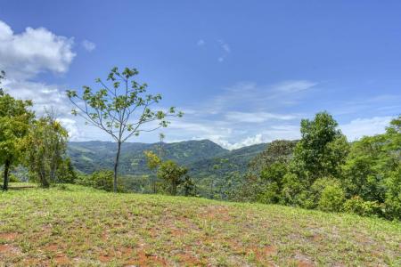 Dominical Osa, Puntarenas 00001, 哥斯達尼加