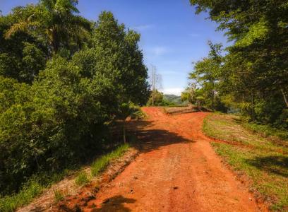 Dominical Osa, Puntarenas 00001, 哥斯達尼加