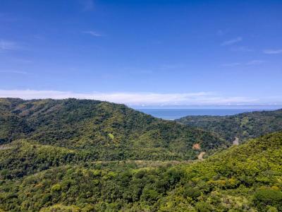 Dominical Osa, Puntarenas 00001, 哥斯達尼加