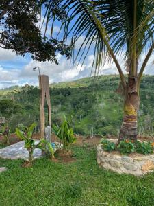 San Isidro Del Gener Pérez Zeledón, San José 00001, Costa Rica