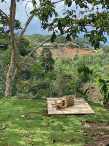 San Isidro Del Gener Pérez Zeledón, San José 00001, Costa Rica