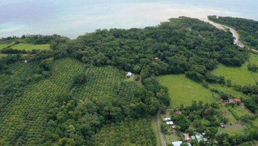 Puerto Jiménez Golfito, Puntarenas 00001, Costa Rica