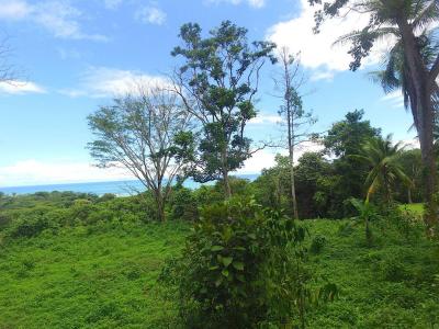 Dominicalito Bahía Ballena Osa, Puntarenas 00001, 코스타리카
