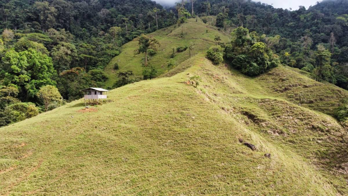 Pérez Zeledón, San José 00001, Costa Rica