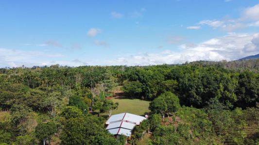Cajón Pérez Zeledón, San José 00001, Costa Rica