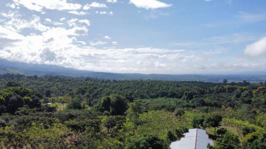 Cajón Pérez Zeledón, San José 00001, Costa Rica