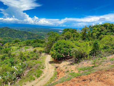 Península De Osa Puerto Jiménez Golfito, Puntarenas 00001, Costa Rica