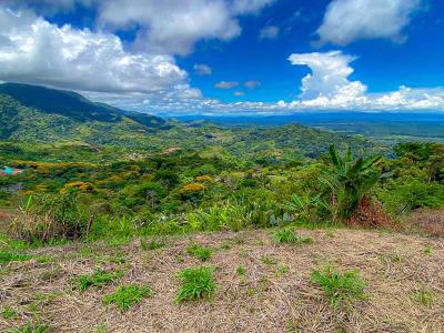 Península De Osa Puerto Jiménez Golfito, Puntarenas 00001, Costa Rica