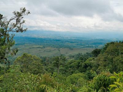 Cajón Pérez Zeledón, San José 00001, Costa Rica