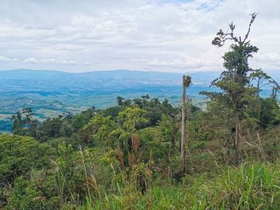 Cajón Pérez Zeledón, San José 00001, Costa Rica