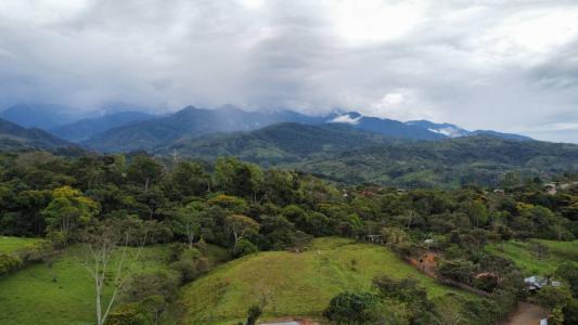 Miravalles Pérez Zeledón, San José 00001, Costa Rica