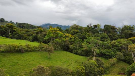 Miravalles Pérez Zeledón, San José 00001, Costa Rica