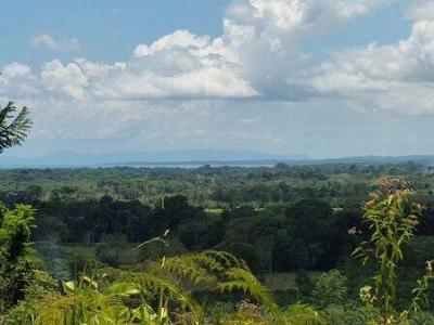 Sierpe Osa, Puntarenas 00001, Costa Rica