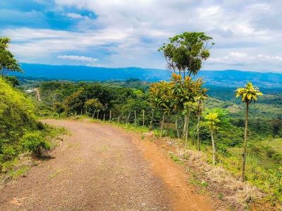 Cajón Pérez Zeledón, San José 00001, Costa Rica