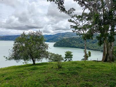 Península De Osa Puerto Jiménez Golfito, Puntarenas 00001, Costa Rica