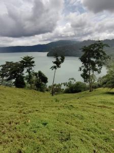 Península De Osa Puerto Jiménez Golfito, Puntarenas 00001, Costa Rica