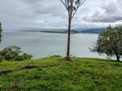 Península De Osa Puerto Jiménez Golfito, Puntarenas 00001, Costa Rica