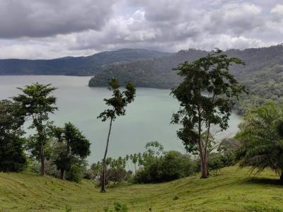 Península De Osa Puerto Jiménez Golfito, Puntarenas 00001, Costa Rica
