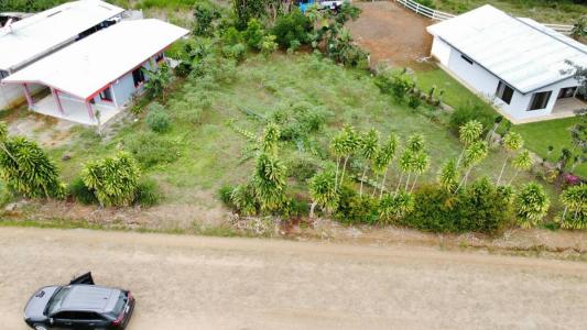 Daniel Flores Pérez Zeledón, San José 00001, Costa Rica