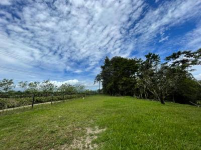 Cajón Pérez Zeledón, San José 00001, Costa Rica