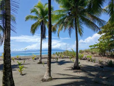 Puerto Jiménez Golfito, Puntarenas 00001, Kosta Rika