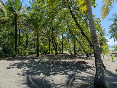 Puerto Jiménez Golfito, Puntarenas 00001, Kosta Rika