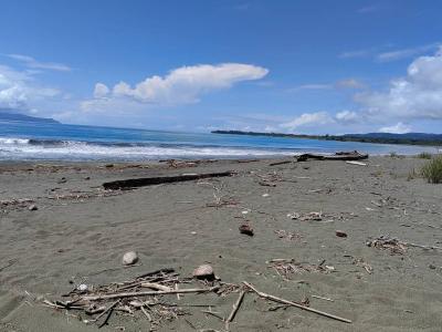 Puerto Jiménez Golfito, Puntarenas 00001, Kosta Rika