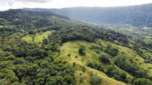 Platanillo Barú Pérez Zeledón, San José 00001, Costa Rica